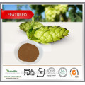 Extrait de houblon en vrac / Extrait de houblon en poudre, 4%, 8% de flavone, Xanthohumol 5%